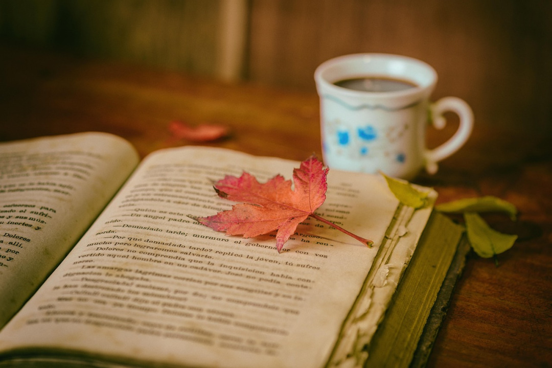 reading coffee book